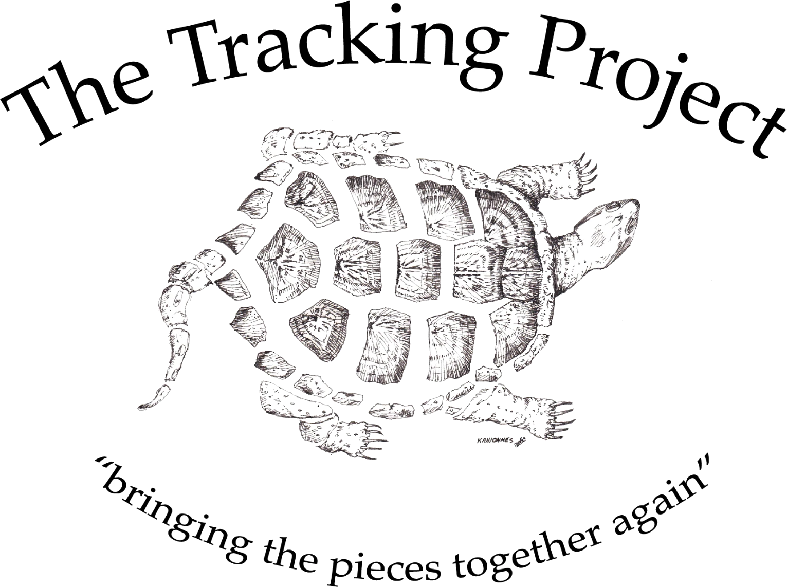 The Tracking Project
